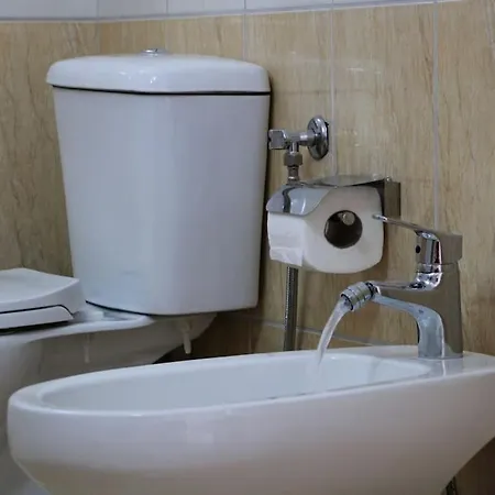 Penthouse 1-bedroom Open Layout ポグラデツ