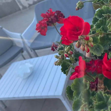 Penthouse 1-bedroom Open Layout Apartamento Pogradec